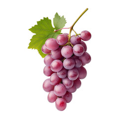 Fototapeta premium Fresh Bunch of Red Grapes with Green Leaf