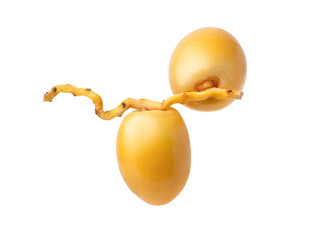 Yellow date fruit