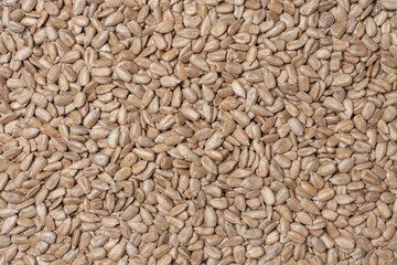 Sunflower seed texture background.