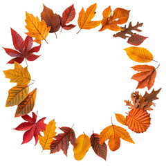 Fototapeta premium Colorful autumn leaves arranged in circular pattern create vibrant and warm display, celebrating beauty of fall. This composition captures essence of season
