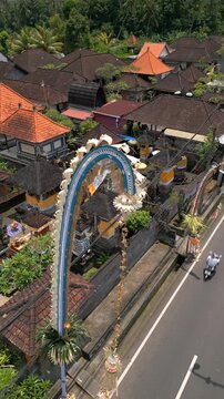 Aerial view of bamboo pole decorations during the Galungan holiday in Ubud, Bali, Indonesia