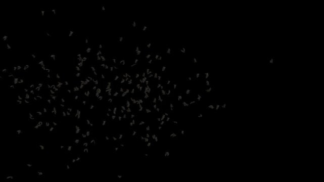 Halloween Bat Crowds on alpha channel. You can place on footage or background and easier to change colour.

