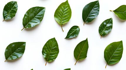 top view lay flat paint brush laying on paint can with on white background 
