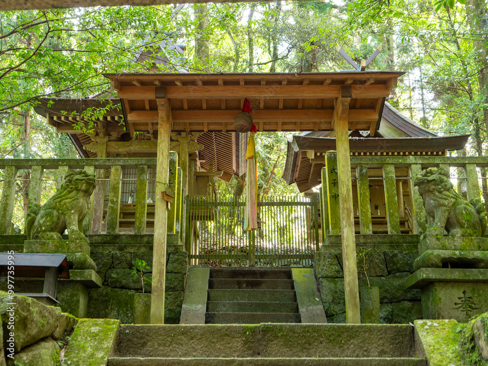 Wall mural 木々に囲まれた氣都倭既神社