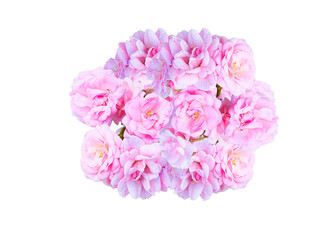 Flower Image on Transparent Background