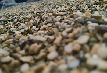 a close up of grains, grains looking like stone, split grain,