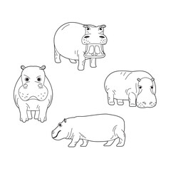 Hippo Coloring Book Black and White Drawing Set 1