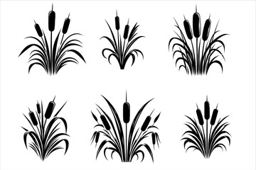 Cattail silhouette Vector Bundle icon on white background. Cattail reeds vector silhouette set.