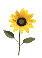 Naklejka premium A yellow sunflower with a black center
