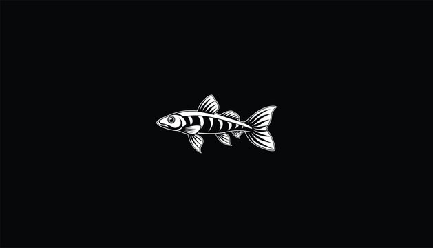 recommend clip art: "Realistic Killifish Vector Image, Vibrant Colors and Intricate Scales, Circular Design, White Outline Black Background