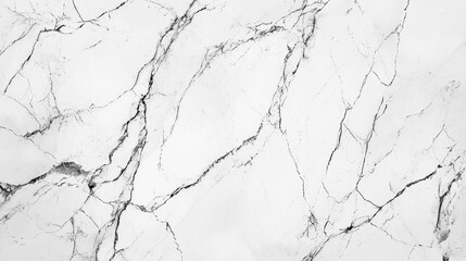 Obraz premium White Marble Texture Wallpaper. A luxurious white marble texture with subtle gray veining.