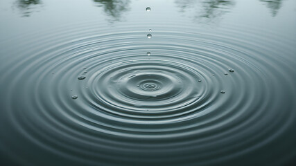 Serene Water Ripples from a Droplet Impact