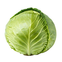 Fototapeta premium Fresh Green Cabbage. png isolated background. transparent background