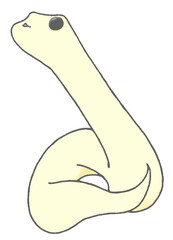 Snake looking up to the left