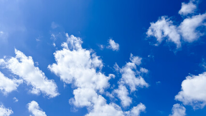 The beautiful views in Tokyo