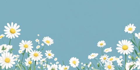 Chamomile and blue background.
