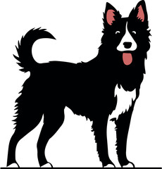 border collie dog illustration
