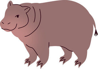 Cute Pygmy Hippopotamus