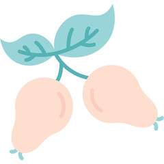 Rosehip Oil Illustration