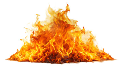 Fire on a transparent or white background. flame PNG.