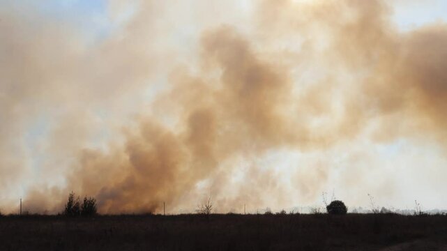 Hot summer day with dry grass burning in rural meadow flames spreading through field while thick smoke rising into sky creating dangerous wildfire damaging natural environment and landscape