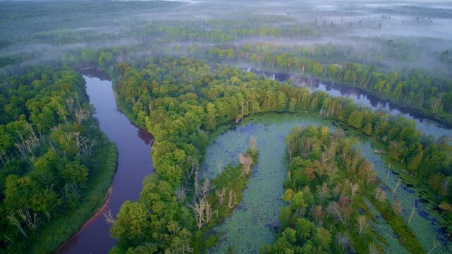 drone shot flying over numerous river bends and little islands of the foggy Manistee river in northern michigan at sunrise
