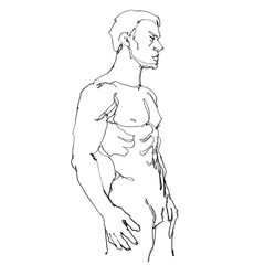 Nude male figure, contour drawing for graphic design.