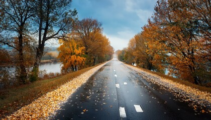 Obraz premium Schönes Herbst Bild nass Blätter wirble