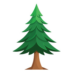 Pine tree vector on white background.