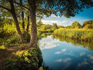 Fototapete Rund Small river flowing among fields, forests and its infrastructure. © Senatorek
