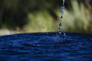 Water Drops Close-up