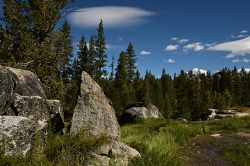 Trees, Rocks, Clouds