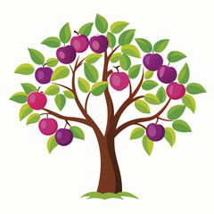 Fototapeta premium Plum tree vector illustration in flat design isolated on white background.