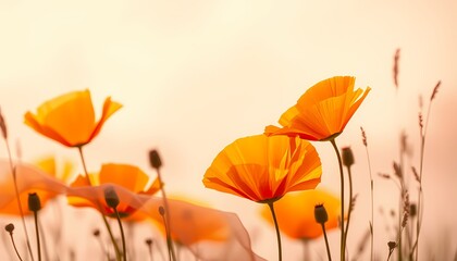 Fototapeta premium Translucent Orange Flowers in an Abstract Pastel Landscape