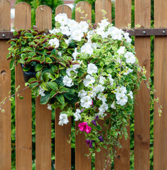A wooden fence with a flower pot hanging from it