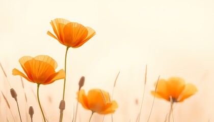 Obraz premium Ethereal Orange Flowers with Soft Background in Abstract Style