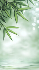 Fototapeta premium artistic landscape with green bamboo leaves in the upper left corner and light green in the background 