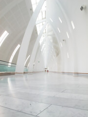 Airport terminal, hall and architecture of building, details and entrance of structure, roof and...