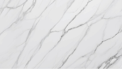 White grey marble seamless glitter texture background .  panoramic white background from marble background 