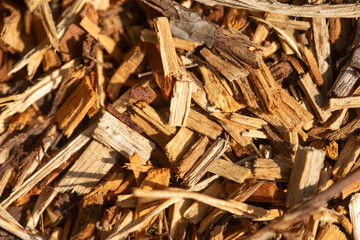 Bark pieces, vegetal scraps background, bark mulch chips backdrop