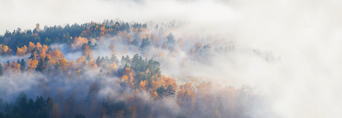 Autumn forest in fog, forested hill, panoramic view, open space