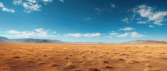 Fototapeta premium Expansive View of Serene Desert Landscape under Blue Sky