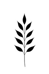 Fototapeta premium Minimalist black and white branch silhouette with leaves growing