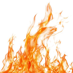 Dynamic and vibrant flames rising against a transparent background, creating an intense visual effect suitable for various design projects
