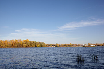Beautiful autumnal nature landscape. Scenery with dense trees near the river against blue sky...