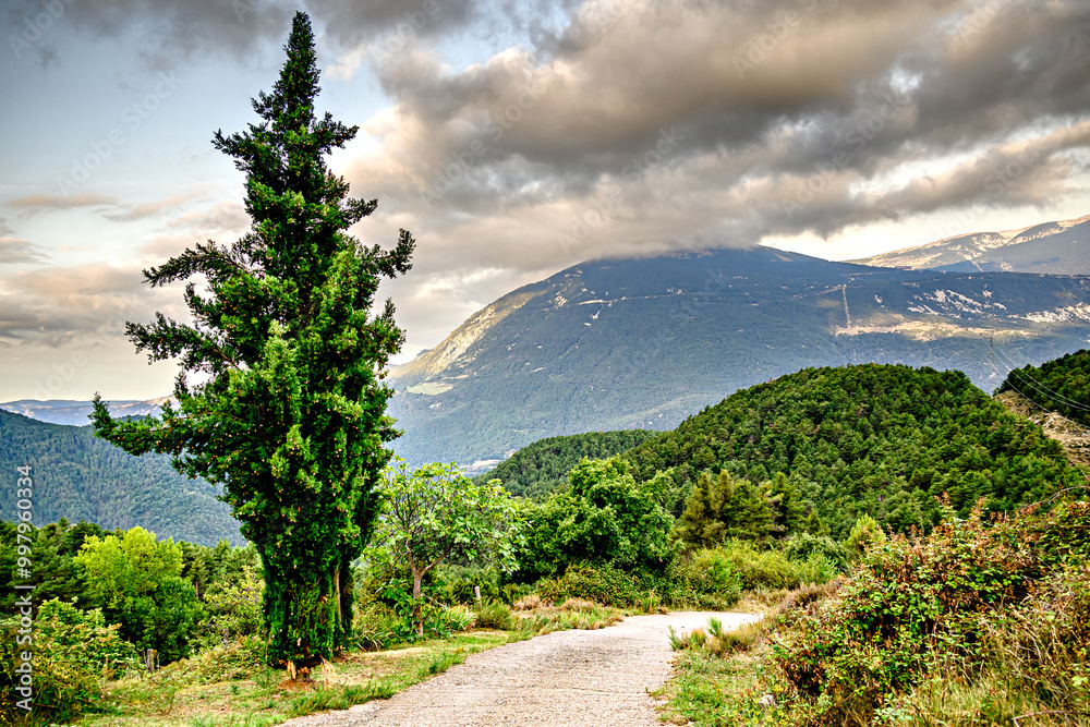 Wall mural beautiful landscape of the mountains of la coma and la pedra in the region of solsones, province of 