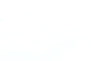 White cloud isolate on transparent background