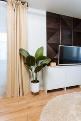 The spacious living room features a vibrant potted plant beside a sleek flatscreen TV, creating a...