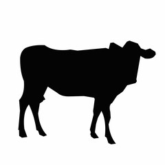 silhouette of a cow