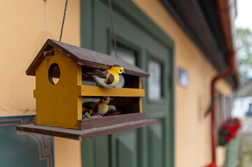 Colorful birdhouse with cheerful bird perched outside in a quaint neighborhood setting